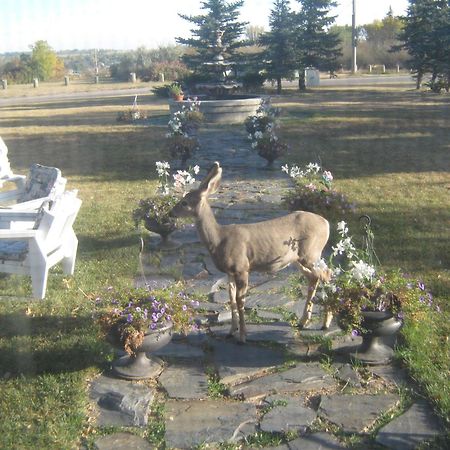 Wakamow Heights Bed And Breakfast Муус Джоу Екстериор снимка